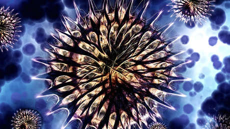 Revelan el origen del peligroso gen resistente a los antibióticos que se propaga por el mundo