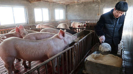 Revelan dónde se originó el gen que resiste a cualquier antibiótico