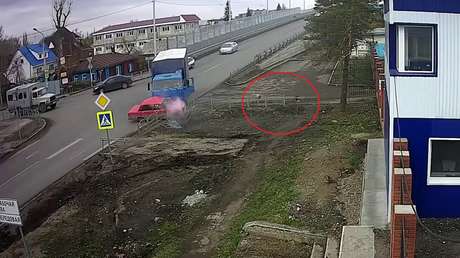 "¡Dejen de chocar!": Dos perritos se vuelven virales gracias a un cruce mal señalizado