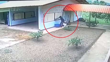 El ladrón más brillante del mundo