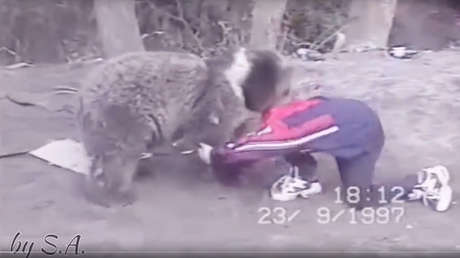 Ya dejaba K.O. a los osos... ¡con 8 años! Así entrenaba el actual campeón ruso del UFC (VIDEO)