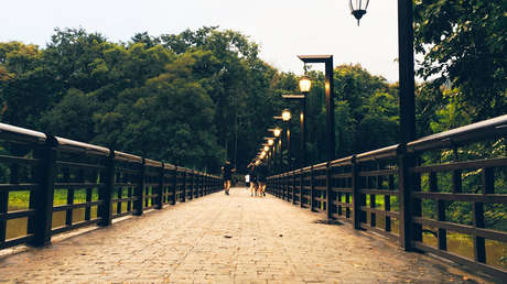 VIDEO: Una anciana en silla de ruedas cae a un estanque por un despiste de su cuidador
