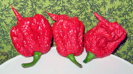 Un hombre sufre una peligrosa dolencia cerebral tras comer uno de los chiles más picantes del mundo