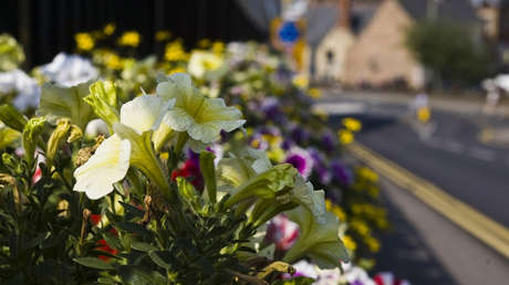 Un paisajista y descuartizador canadiense podría haber matado a decenas de gays