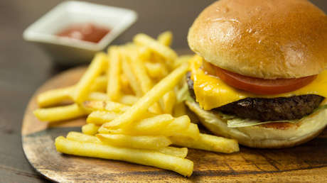 Identifican unas bacterias que causan obesidad 