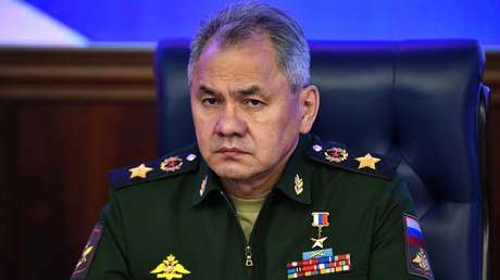 Ministro de Defensa ruso comunica a Putin todos los datos sobre la situación operativa en Siria