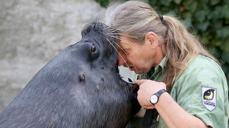 Lo más provocativo e insólito que nos dejó esta semana