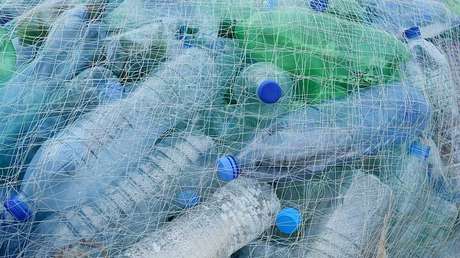 ¿Planeta salvado?: Científicos crean accidentalmente una bacteria que puede devorar plástico