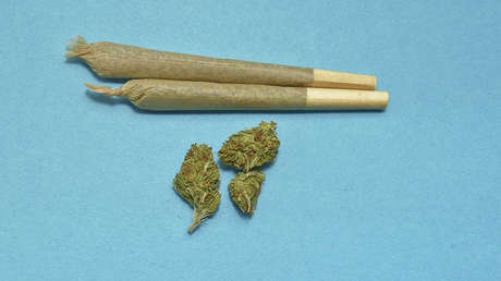 EE.UU.: Proponen en el Senado "despenalizar" la marihuana a nivel federal