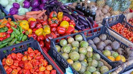 ¿Salmon de granja tampoco? Expertos afirman que esconde un peligro mortal