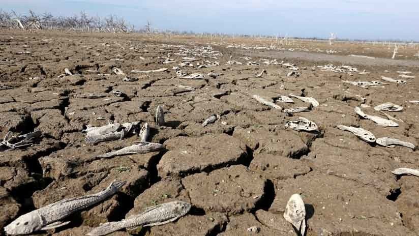 El 'día cero' amenaza a una de las mayores ciudades de África
