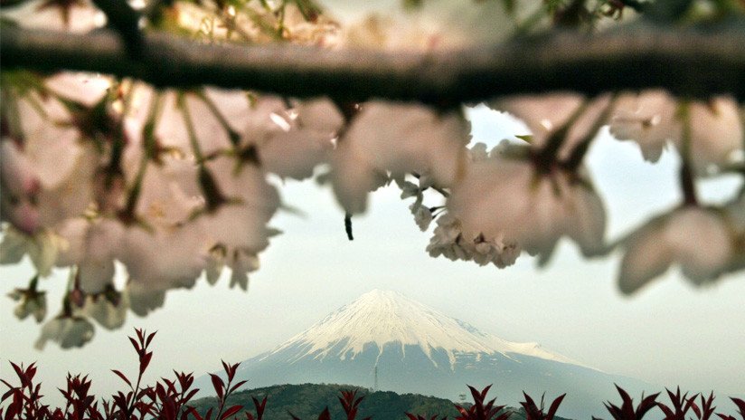 "Si no lo hubiera vivido, no lo creería": Halló a su madre biológica en Japón después de 45 años