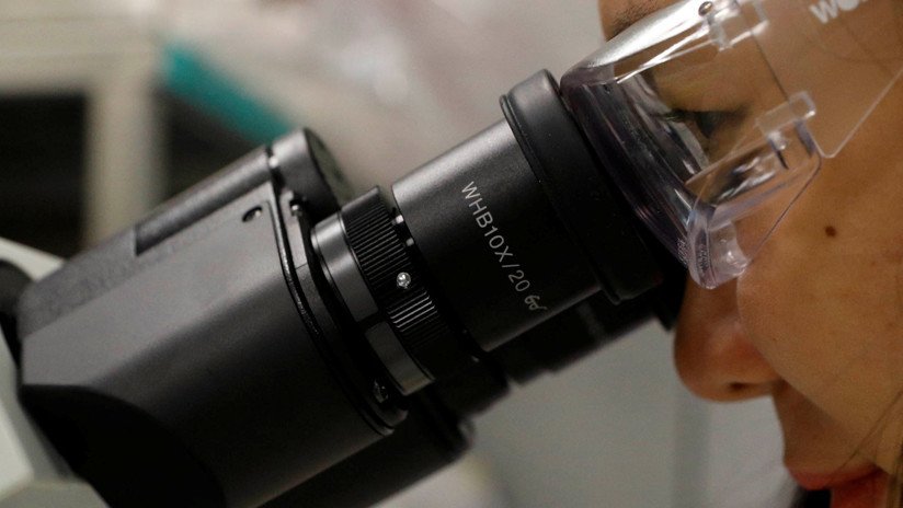 Crean un 'doble caballo de Troya' que engaña a las bacterias para que cometan 'suicidio'