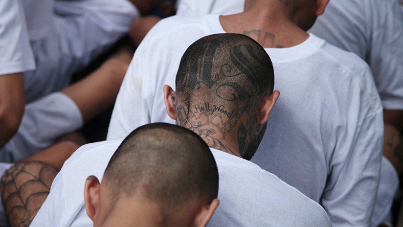 La Casa Blanca dice que llamar "animales salvajes" a la MS-13 no es "suficientemente fuerte"