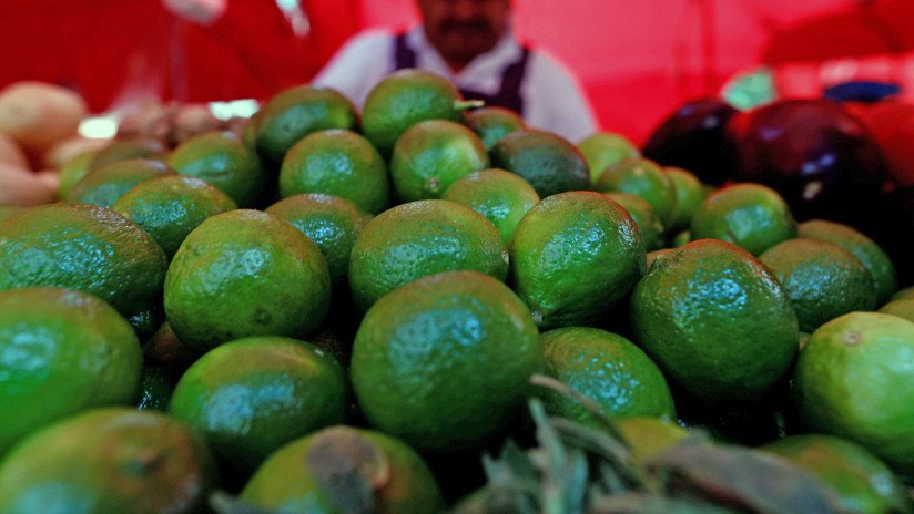Chilenos sufren la escasez de agua debido a la moda europea de consumir aguacate
