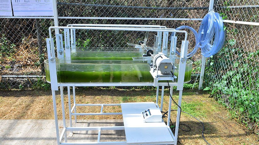 VIDEO, FOTOS: Crean en México planta de tratamiento de aguas que capta el CO2