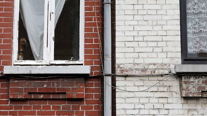 Heroísmo impresionante: Trepa en segundos un edificio y salva a un niño a punto de caer (VIDEO)