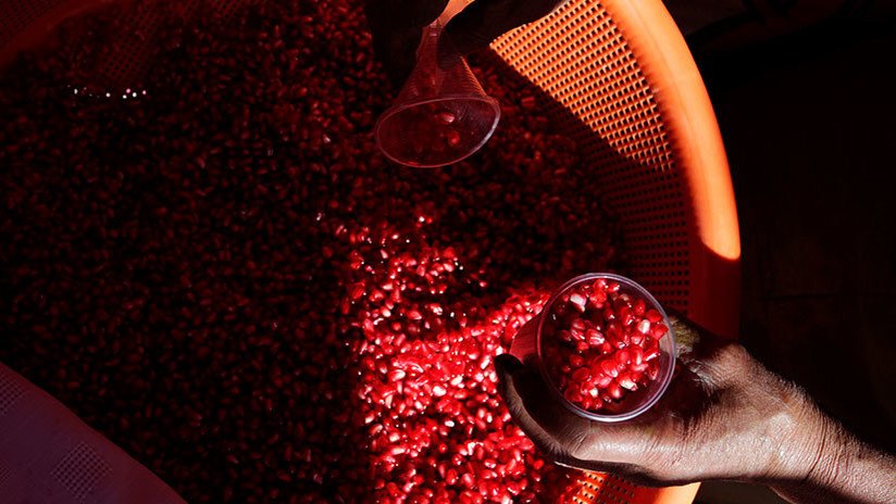 El chile: De la boca al cielo gastronómico