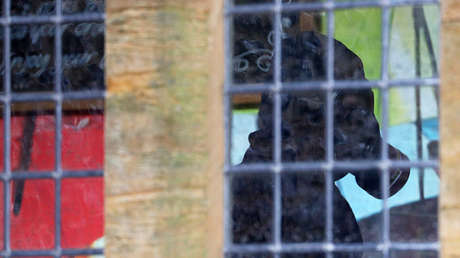 La OPAQ refuta la declaración de su jefe sobre la cantidad de veneno utilizando contra los Skripal