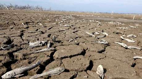 El 'día cero' amenaza a una de las mayores ciudades de África