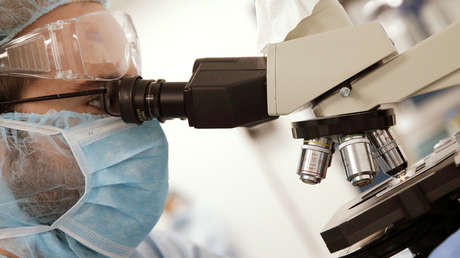 Descubren un virus mortal en ADN humano de la Edad de Bronce