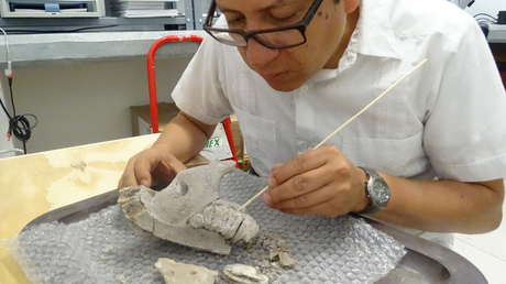 México: Descubren restos de mamuts y otras especies de la Edad de Hielo