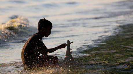 FOTOS: Filipinos temen un apocalipsis tras encontrar una horrible criatura peluda en la playa