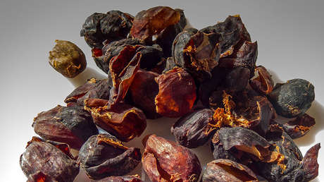 Antes la echaban a la basura: La cáscara del café vale seis veces más que sus granos