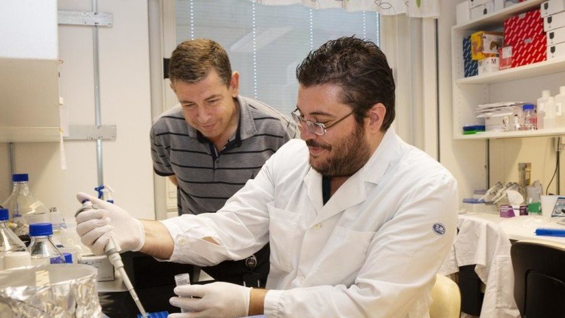 Identifican una proteína que podría ser clave en la cura del alcoholismo