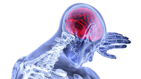Descubren el segundo 'cerebro' humano, que se ubica al final del tracto gastrointestinal