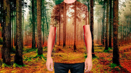 EE.UU.: Hallan a un inmigrante ilegal procedente de México en un lugar inesperado (FOTO)