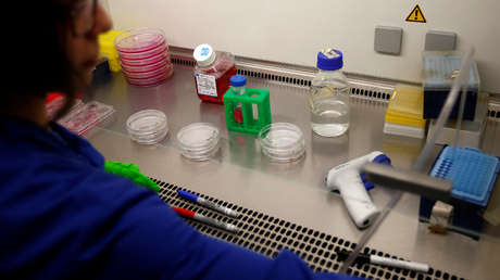 Descubren las estrategias de las células cancerígenas para evitar ser derrotadas