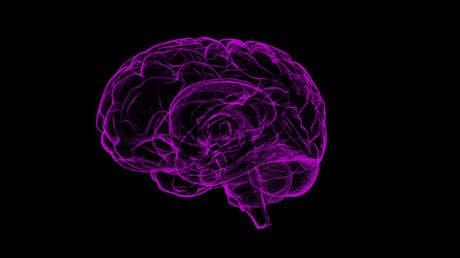 Detectan la presencia de una mortal ameba 'comecerebros' en el agua potable de Luisiana