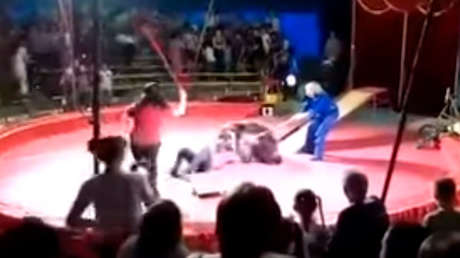 FUERTE VIDEO: El feroz ataque de un oso a un empleado de circo en Rusia