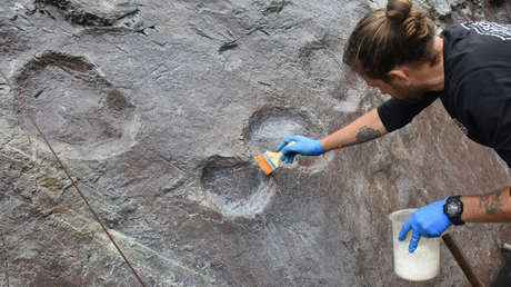FOTO: Hallan más de 300 huellas de dinosaurios en el este de China