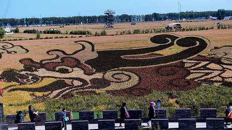 Dragones, diosas y banderas nacionales: Las increíbles 'pinturas' 3D en campos de China 