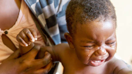 Matrimonio infantil: Padres intercambian hijas por vacas debido a las guerras y el cambio climático 