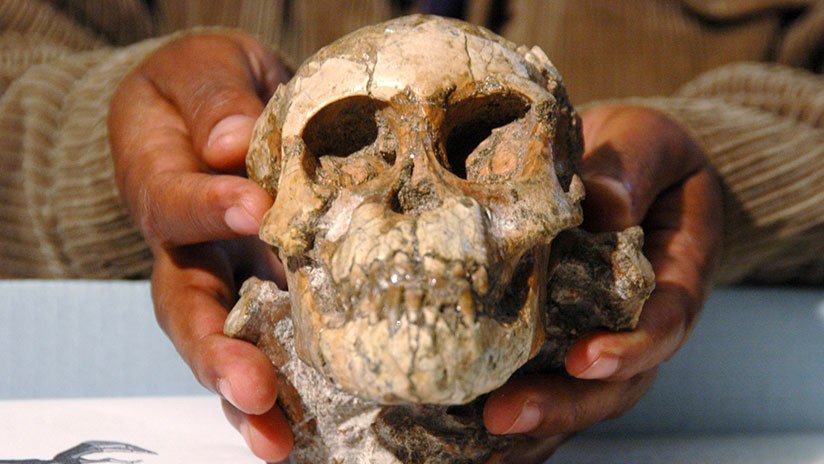 El secreto de Selam, la niña de 3,3 millones de años que trepaba a los árboles