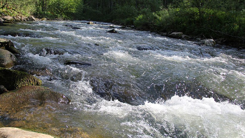 FUERTE VIDEO: Muere en un río en Pakistán por tratar de sacarse un selfi