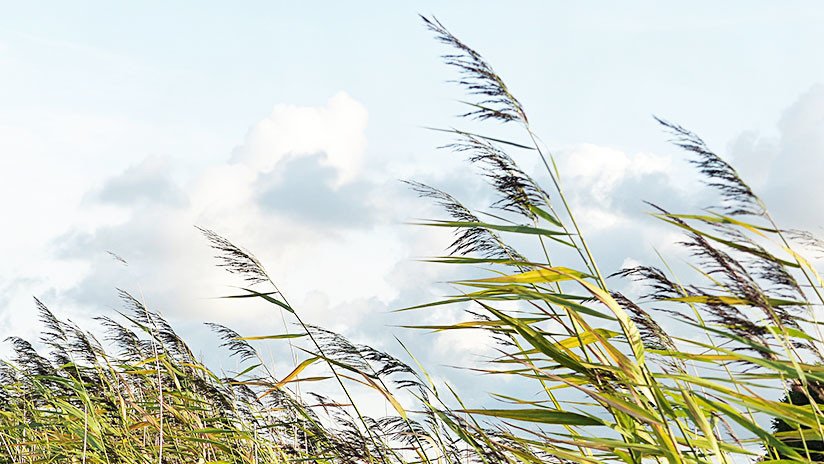 Como en el Mago de Oz: Un joven ucraniano sale volando por los fuertes vientos huracanados (VIDEO)