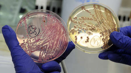 Modifican la inmunoterapia para que no solo pueda con el cáncer, sino con las bacterias más letales