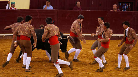 FUERTES IMÁGENES: Un toro ensangrentado a punto de cornear a un torero en Portugal