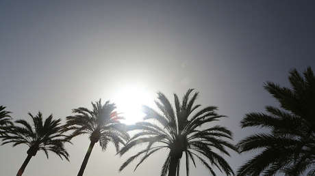 No es un montaje: esta cara le convencerá de que hay que ponerse crema solar (FOTO)