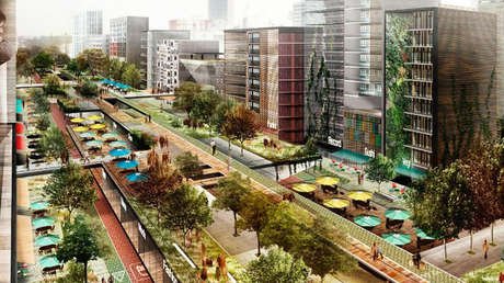 Científicos buscan reducir el calor de la Ciudad de México con árboles "refrigerantes"