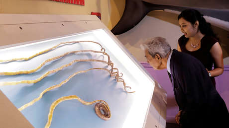 VIDEO, FOTOS: El hombre con las uñas más largas del mundo decide cortárselas tras 66 años