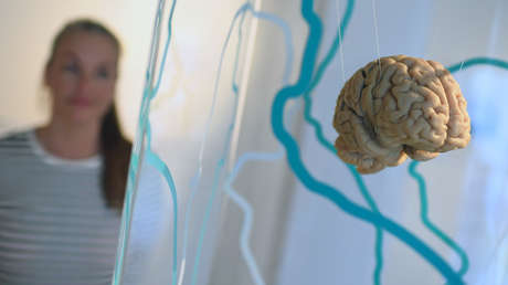 "El Big Bang del alzhéimer": Científicos identifican el momento en que comienza esa enfermedad