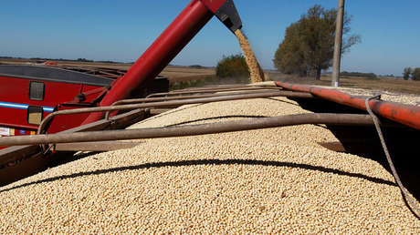VIDEO: Trabajadores paraguayos se salvan 'por un pelo' de morir aplastados por un silo