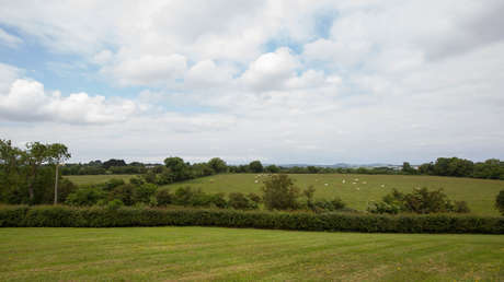 FOTO, VIDEO: La sequía permite descubrir un monumento prehistórico en Irlanda