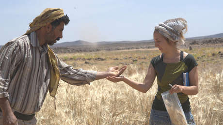 FOTOS: Descubren restos de pan que cambian todo lo que se sabía sobre su origen