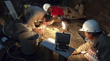 Hallan el fósil de una cría de serpiente de 99 millones de años atrapada en ámbar